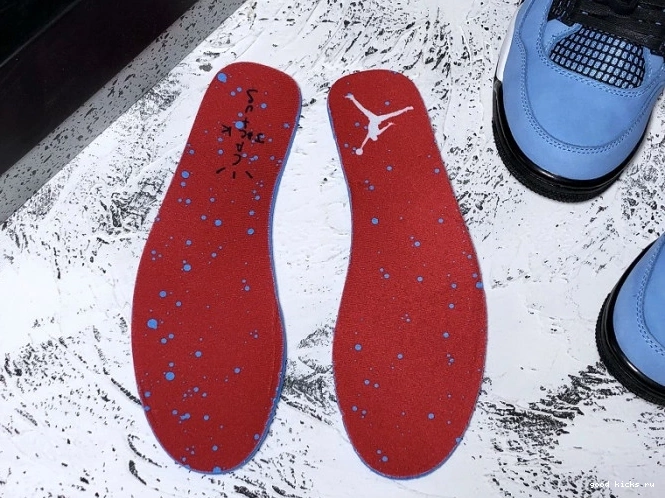 Air Jack Travis Cactus Scott Jordan 308497-406 4 x 0816